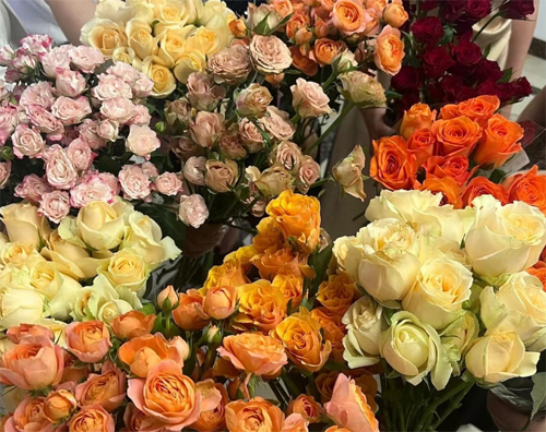 1692667417800184.png 微信圖片_20230822092119.png