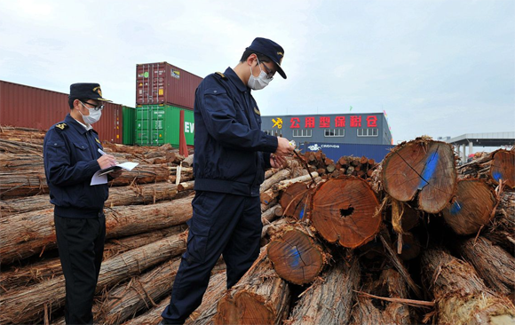 飛龍世紀(jì)物流帶您了解進(jìn)口木材的通關(guān)運(yùn)輸要求