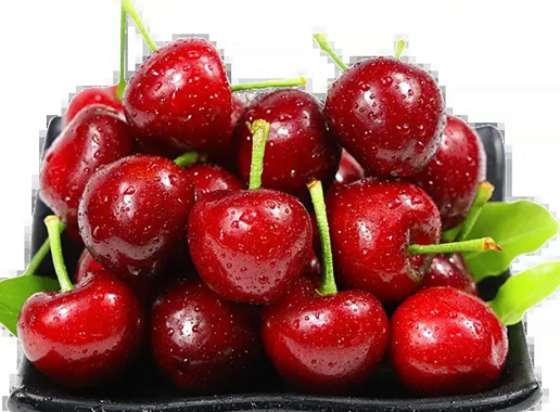 進口車厘子經(jīng)香港運到內(nèi)地的物流介紹