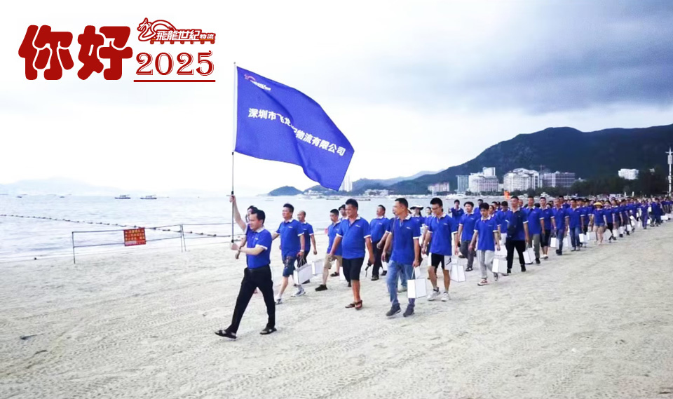 飛龍世紀：穩步發展 勇往直前 一直奮進