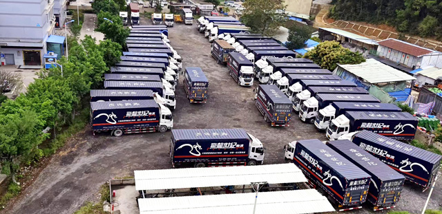 飛龍世紀(jì)物流擁有海關(guān)監(jiān)管車輛 提供海關(guān)監(jiān)管貨運(yùn)服務(wù)