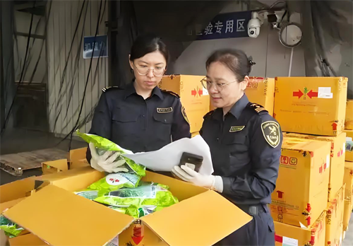 種子從香港進(jìn)口到內(nèi)地的通關(guān)要求