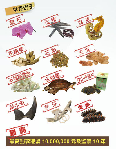 旅客進(jìn)出香港 這些物品不可帶出入境